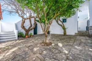 ruadediu6_venueestates_059