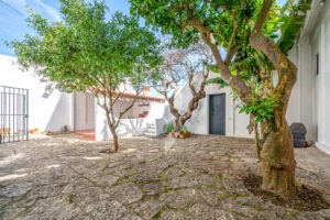 ruadediu6_venueestates_062